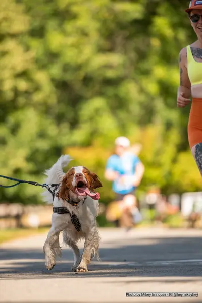 A photo from the 2023 Pride Run and Walk